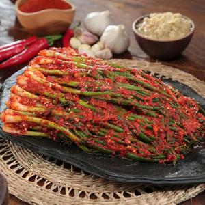 [알토란] 맛의공식 황태파김치 1kg