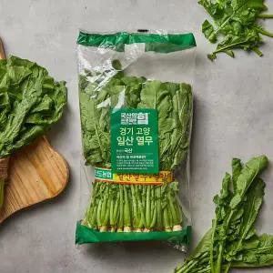 [국산의 힘] 일산 열무 (1.2kg)