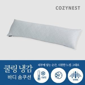 [레노마홈] 코지네스트 쿨링냉감 시원한 바디솜쿠션_P308837780