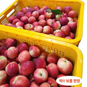 신비복숭아 백도 천도 대극천 딱딱이 황도 신선복숭아 소과 못난이 1kg