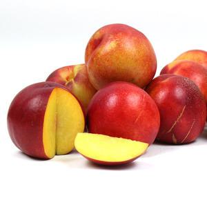 새콤달콤 천도복숭아2kg(중대)15과내외 / 제철과일