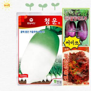 팜한농 흥농 청운무 4만립 대용량 저장 김장 가을 무 무우 씨앗 씨 종자