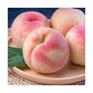 껍질째먹는 딱복 딱딱이 복숭아 백도 3kg 4kg 여름대표과일