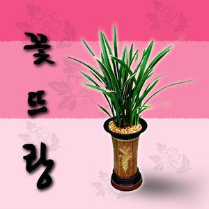금기(특) 동양란 (개업, 승진, 취임의 최고의 선물)