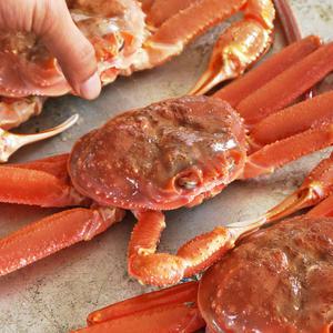 자숙 홍게 수율 70% 90% 포항 구룡포 선주발송 찜 당일조업 2kg 3kg