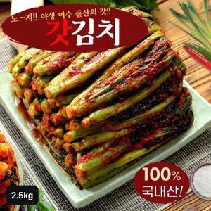 [여수돌산갓김치]여수 노지 햇 갓김치 2.5kg[34172255]
