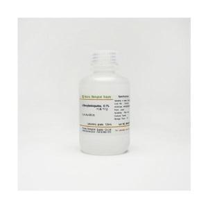 시토키닌(Cytokinin)