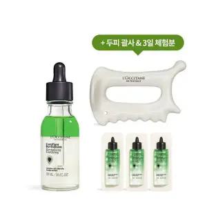 [록시땅](강남점)탄탄 뿌리 세럼 50ml 세트 (+프리미엄 괄사+3일 체험분)