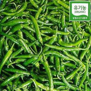 유기농 청양고추 500g