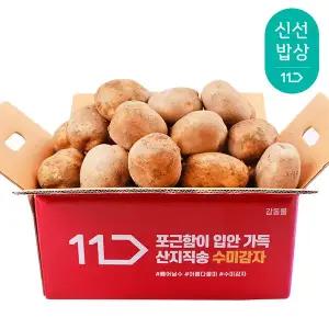 [품질보장] 25년산 햇 감자 특 5kg