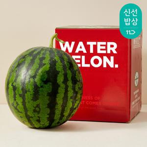 [산지발송] 