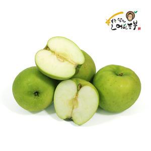 아침이슬 유명산지 햇 여름 청사과 아오리 가정용 3kg