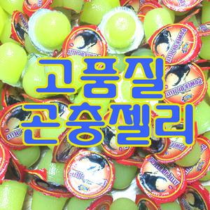 곤충 국내산젤리 장수풍뎅이먹이 사슴벌레