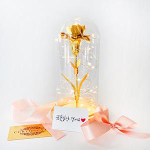 어버이날 스승의날 골드 카네이션 장미 꽃 무드등 선물