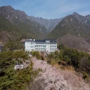 [경북 호텔] 성주 가야호텔 (김천,칠곡,성주)