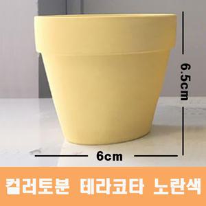 컬러 토분(노란색) 화분 미니토분 다육이 테라코타[지름6cmX높이6.5cm] 수입도매