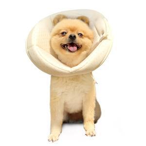 [자연생각][개놀자] 오가닉 펜타곤 넥카라
