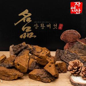 상황버섯 50년산 500g 자연산 원형발송 고급포장 명절 효도선물