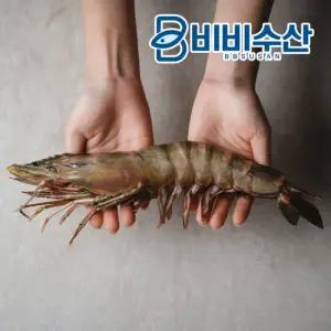 프리미엄 킹타이거새우1kg (4미) 킹블랙타이거새우