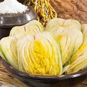 순맑은김치 절임배추 5kg