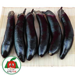 청정 영주소백산 햇 가지 5kg 정품가지