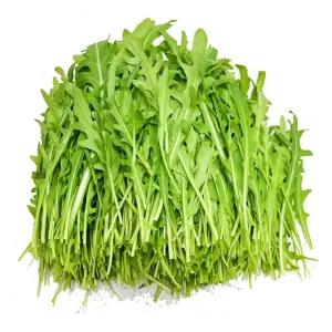 그린팜 생 와일드루꼴라 200g