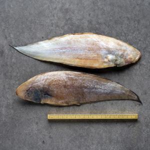 [해남미소] 베스트수산 반건조 서대 3미(25-28cm/200g)