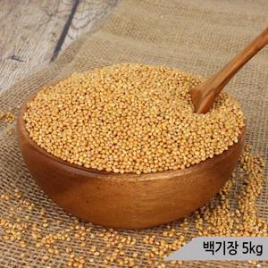 건강알곡 백기장 5kg 모이 사료 간식 앵무새 햄스터