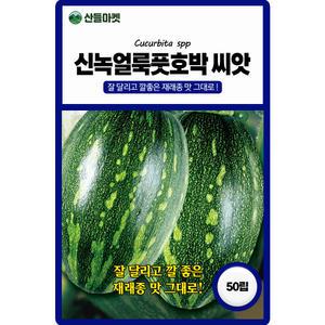 KS종묘 신녹얼룩풋호박 씨앗 50립 잘달리고 맛 좋은 재래종 국내산 고급 품종