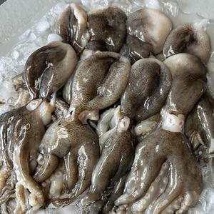 원양산 급냉 쭈꾸미 5미 350g 손질쭈꾸미 수입 냉동쭈꾸미 통쭈꾸미 대 왕 쭈꾸미 냉동 주꾸미 수입쭈꾸미