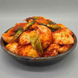 국내산 전라도 양파김치 5kg
