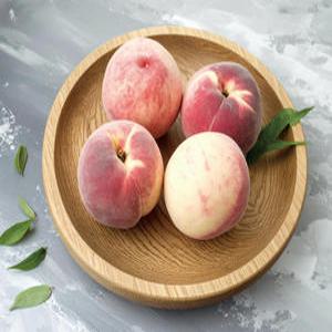 대극천 복숭아 고당도 백도 딱딱이 산지직송 1.5kg