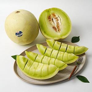 [자연맛남]달콤한 허니듀 멜론 7.2kg내외 (4수)