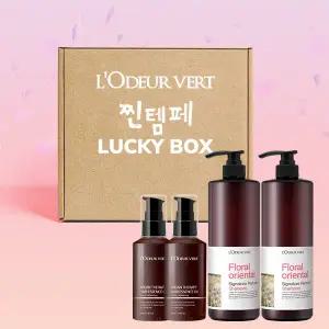 로더베르 손상모발 극복 패키지 가성비 찐템구성