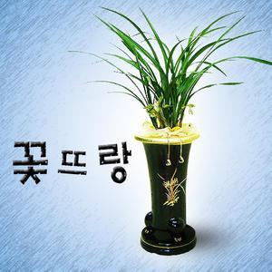 춘금(검정분)동양난 (개업, 승진, 취임의 최고의 선물)