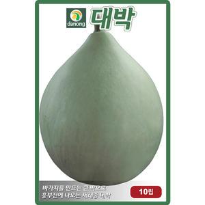 다농 대박 씨앗 10립 재래종 바가지용 박씨 종자