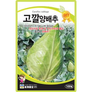 세계종묘 고깔양배추 씨앗 100립 고깔 양배추씨 샐러드 쌈채소 종자