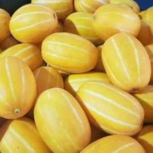 성주참외 실속 가정용 꿀 참외 10kg 소과(50~70과)