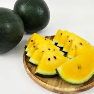 국내산 고당도 노란수박 블랙 망고수박