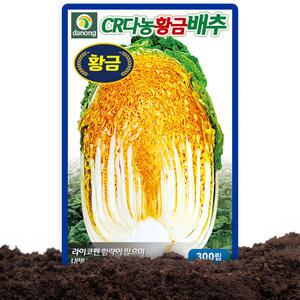다농 CR황금배추 씨앗 300립 노란색 가을김장배추씨 종자 뿌리혹병 저항성