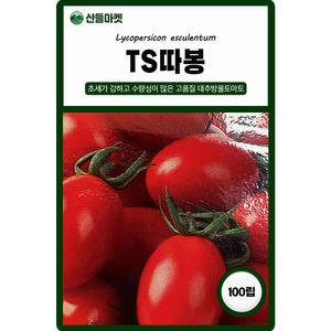 산들마켓 TS따봉 대추 방울토마토 씨앗 100립 내병계 저항성 고당도 초세 강한 토마토씨 종자