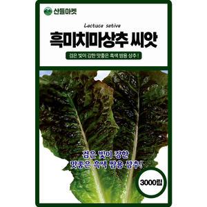 산들마켓 흑미치마 상추 씨앗 3000립 검은 빛이 강한 맛좋은 내서성 강한 고급 품종 종자