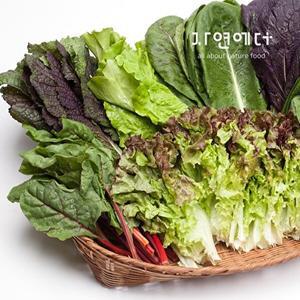 [자연에더]충주 친환경 유기농 쌈채소 600g