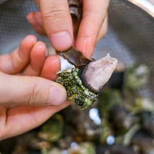 거제도 자연산 거북손 급냉 청정해역 고둥 따개비 산지직송 수산물 1kg