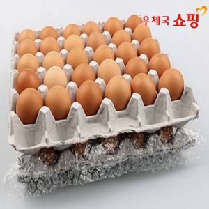 [우체국쇼핑][알부자집] 당일산란 무항생제 계란 60구(대란)