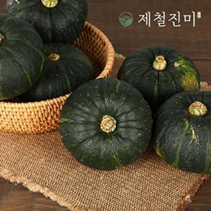 [제철진미]제철진미 제주 햇 미니 밤단호박 특품 7kg (개당 300g~600g)