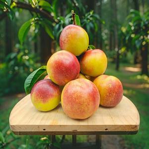 [밋앤밀] 산지직송 옐로우드림 천도 망고복숭아 중과 2kg(18-21과 내외)