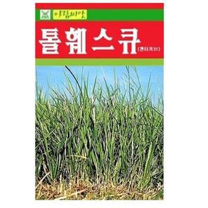 잔디씨/양잔디씨/톨훼스큐/페리니얼라이그라스/오차드그라스/혼합종자/법면 절개지/목초 풀씨/급속녹화