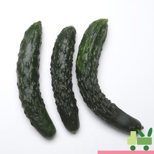 가시오이 4Kg (상)