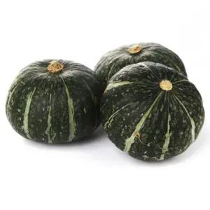 25년 뉴질랜드 청정 햇 단호박 10kg